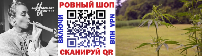 Сколько стоит Сегежа A PVP  ГАШИШ  Cocaine 