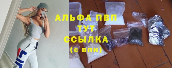 ECSTASY Инсар