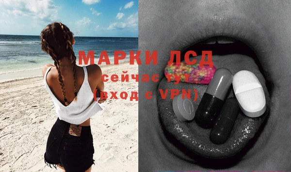 ECSTASY Инсар