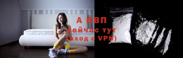 ECSTASY Инсар