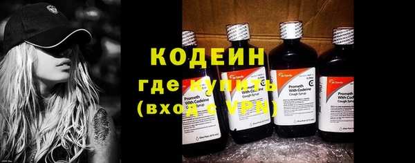 ECSTASY Инсар