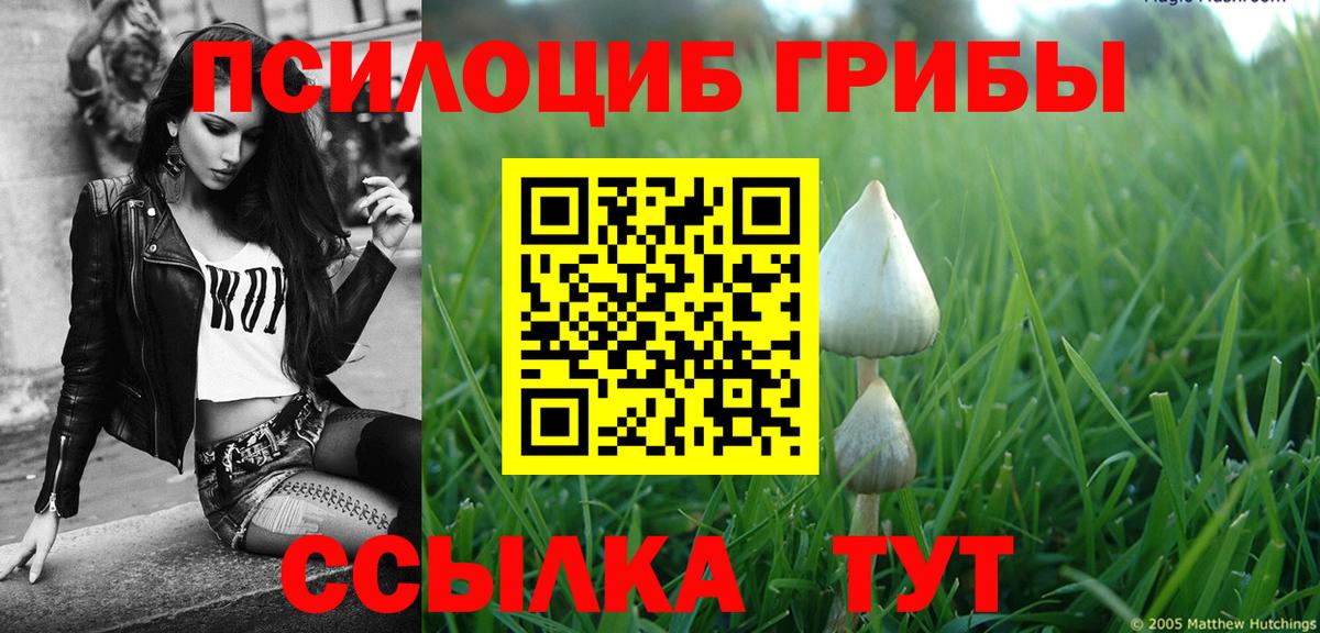 Псилоцибиновые грибы GOLDEN TEACHER Сегежа